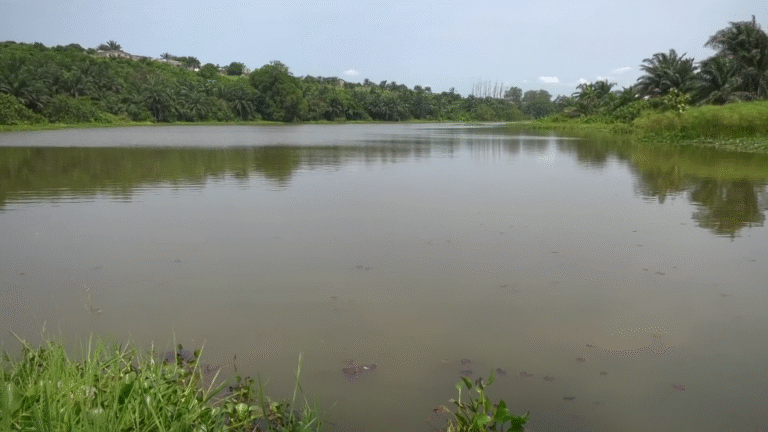 Suspension des travaux du collecteur d’eau au lac Tchimpounga : un succès dû à la vigilance citoyenne