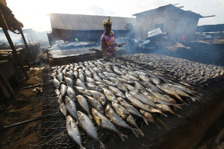 Baisse globale de la faim dans le monde avec une accentuation en Afrique et Asie de l&rsquo;ouest